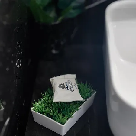 شقة Deluxe διαμερισμα